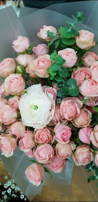 장미,핑크장미,꽃다발,핑크,예쁜꽃,꽃,flower,기념일,축하,anniversary,congratulation,celebrate,celebration