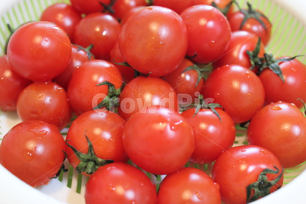 방울토마토,cherrytomato,음식,food,과일,음식,식재료,요리,food,cook,meal,dishes,food reserves,과일,열매,fruit