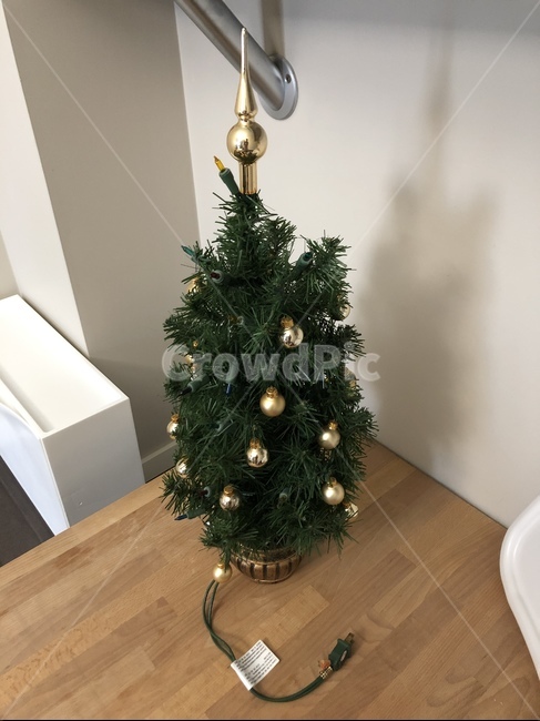 tree,나무,plant,식물,ornament,장식,christmastree,크리스마스트리
