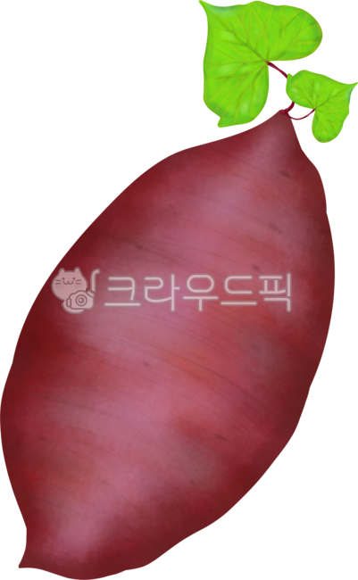 Sweet potato,agricultural products,vegetables,relief crops,sweet potato leaves