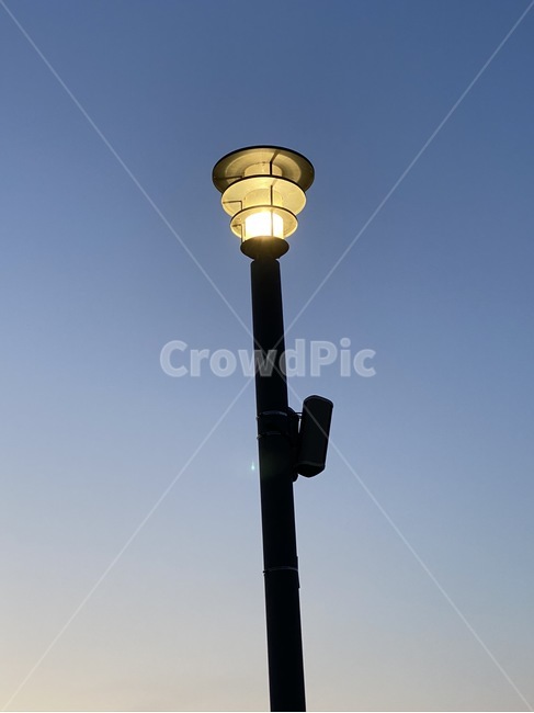 lamp,램프,공원,밤,가로등