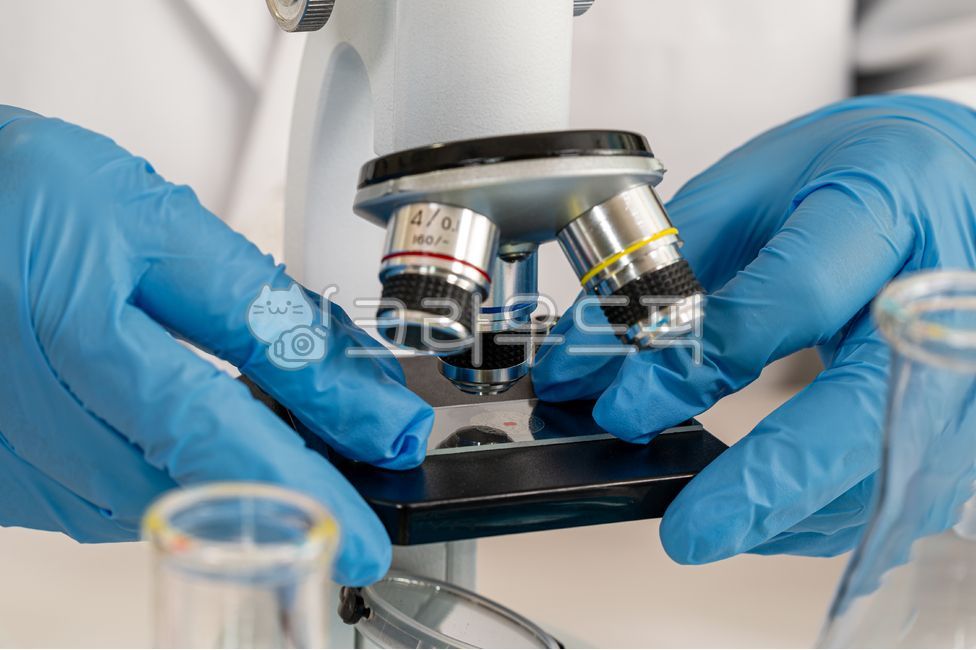 현미경,파란색,사용,과학자,장갑,손,미생물,미생물학,실험실,실험,연구소,삼각플라스크,플라스크,랩,기술,과학,교육,연구,연구원,장비,기기,생명공학,화학,분석,도구,남성,남자,클로즈업,약품,의약,연구실,의료,컨셉,개념