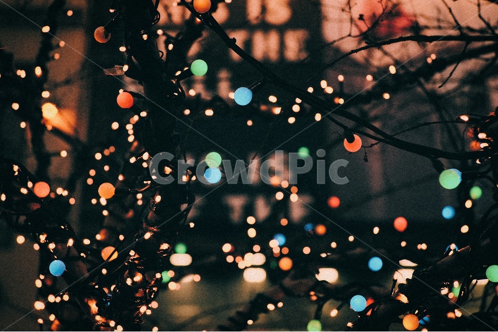 조명,보케,불빛,크리스마스,희미함,야경,밤,풍경,nightscape,night,landscape,감성,sensible,feeling,색깔,색상,색채,색감,color sense,color sensitivity,feeling of color,christmas tree,크리스마스 트리,tree,나무,ornament,장식,plant,식물