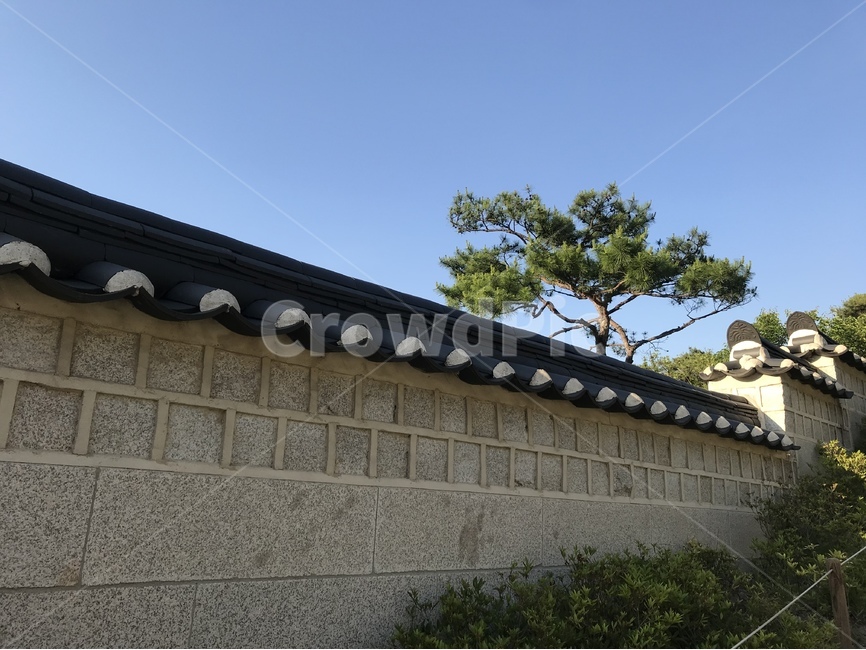 한옥,기와집,한국,한국스러운,기와,담장,옛스러운,한옥마을,남산골한옥마을,한국전통,한국문화,korean traditional,korean culture,건축물,건물외관,exterior,building,structure,architecture,construction