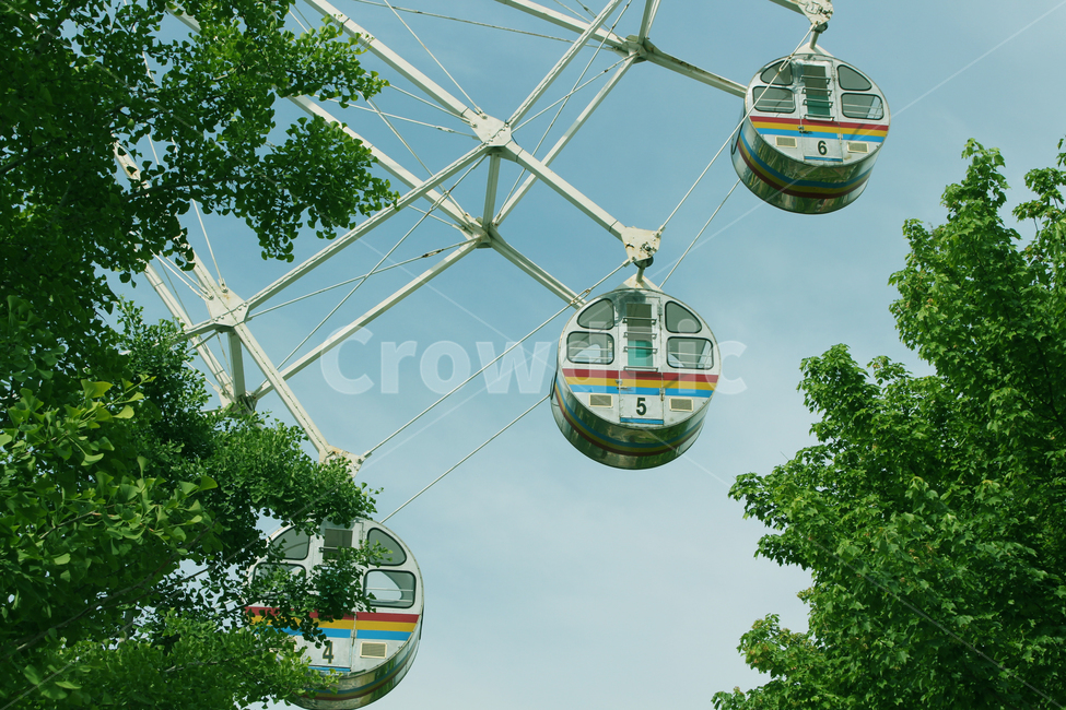 관람차,ferriswheel,tree,sky,나무,하늘,놀이공원,놀이동산,놀이터,amusement park,playground