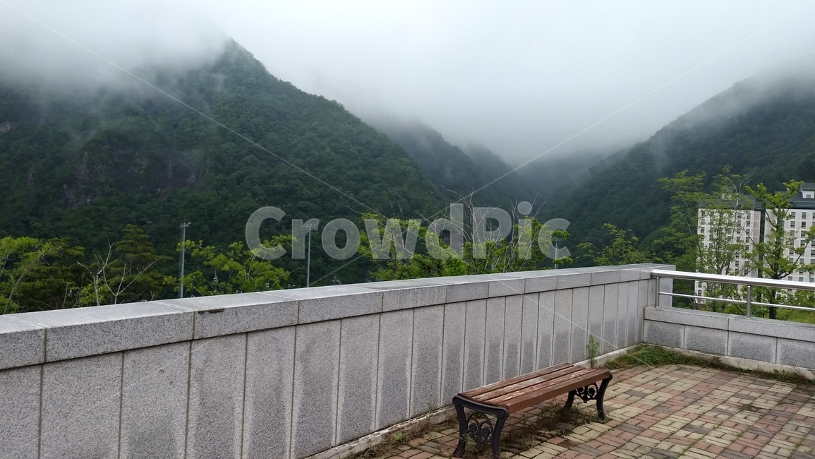 bench,furniture,자연,안개,산