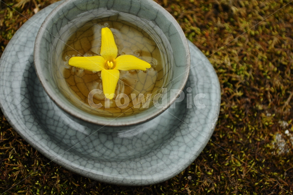 찻잔,차,자연,자기세트,찻잔세트,개나리,이끼,한국전통,한국문화,korean traditional,korean culture,음료수,drink,beverage