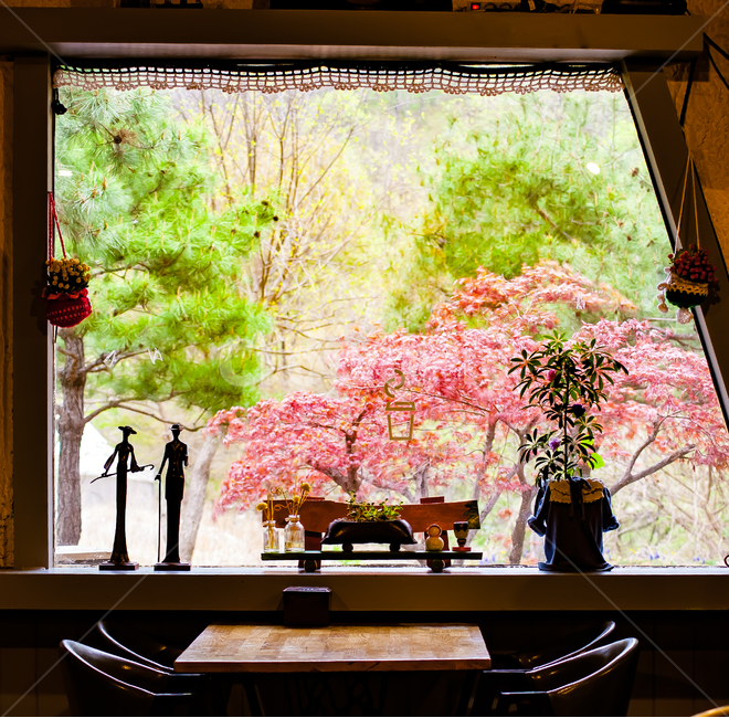 창문,액자,자연,나무,뷰,경치,풍경,인테리어,실내디자인,interior design