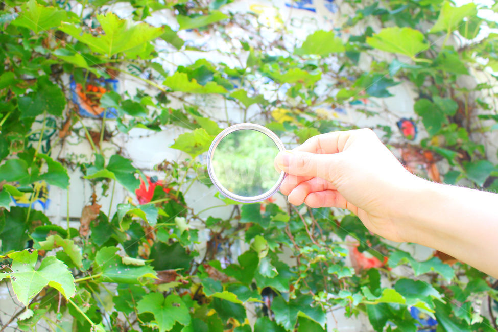 손,사람,거울,자연,하늘,tree,mirror,green,hand,body,사람,인물,인간,human,person,신체일부,몸,body,사물,물건,오브젝트,thing,object,matter