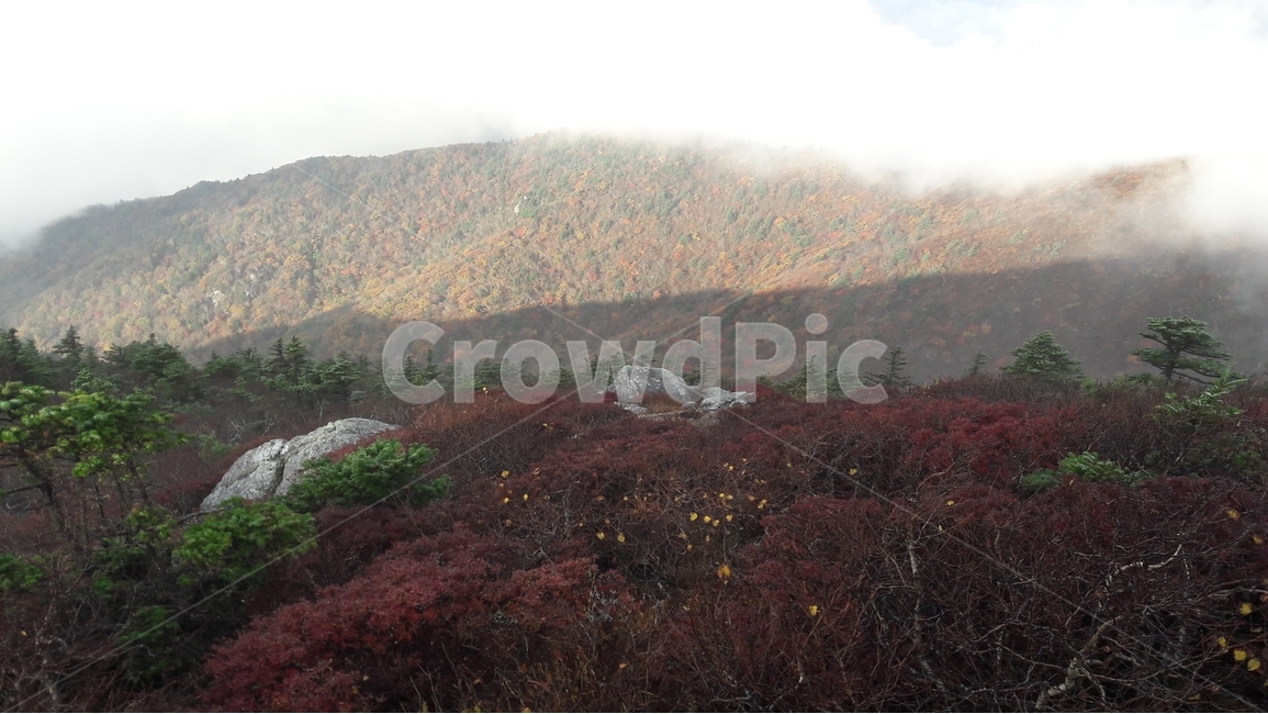 설악산,한국의산,설악산국립공원,공룡능선,천불동계곡,한국의가을,단풍,구름,한국의산하,아름다운산,바위,암봉,가을,계절,fall,autumn,season,자연,풍경,nature,landscape,한국자연풍경,한국자연경관,korea nature landscape,outdoors,옥외