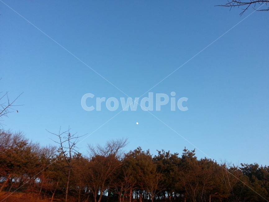 달,하늘,단풍,풍경,sky