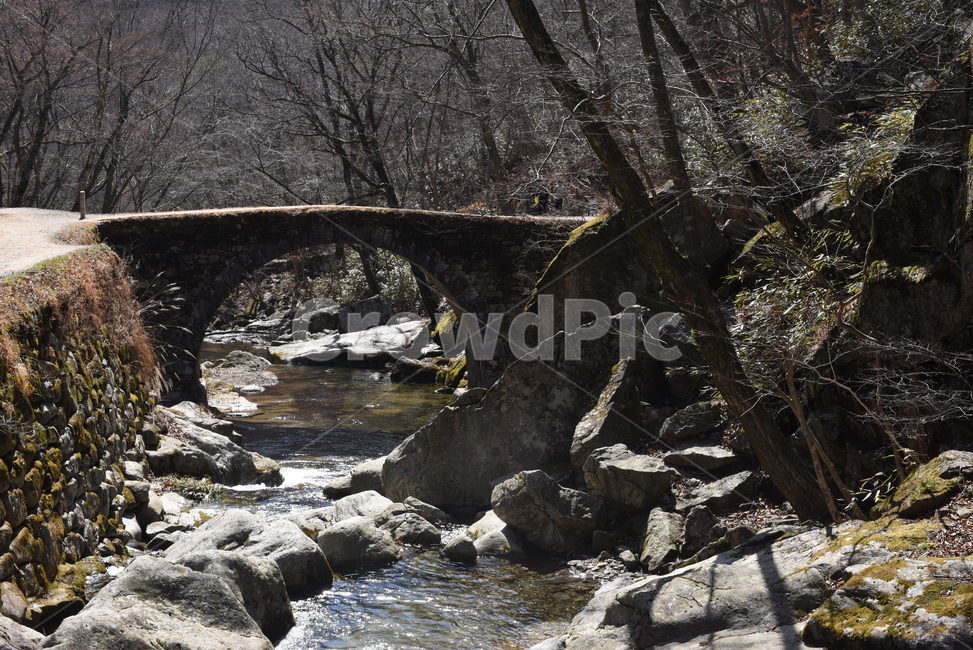 승선교,선암사,조선시대,홍교,다리,석조물,도로,아치,문화재,유산,nature,outdoors
