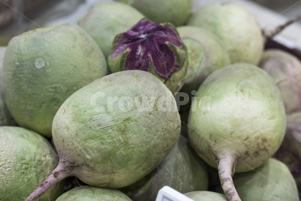 과일무,수박무,무우,채소,야채,청피홍심무,글루코시,채소,야채,vegetables