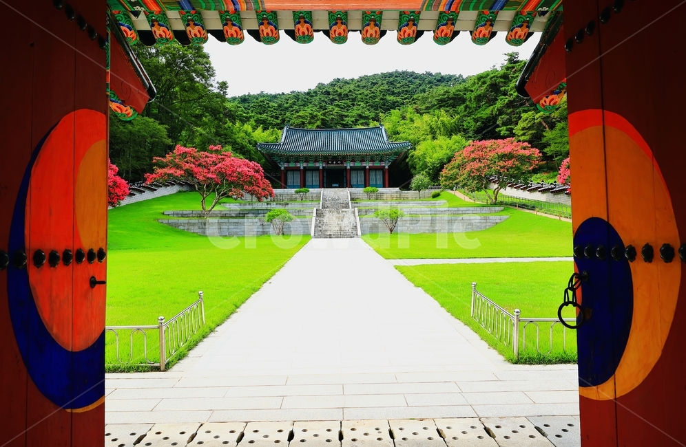 현충사,이순신,충무공,백일홍,임진왜란,조선,전쟁,명랑해전,꽃