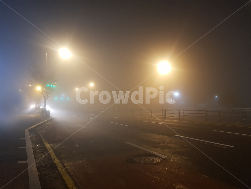 새벽,안개,출근길,이슬비,도로,뿌얗다,이슬,가로등,불빛,야경,밤,풍경,nightscape,night,landscape,light,빛,flare,플레어,nature,자연