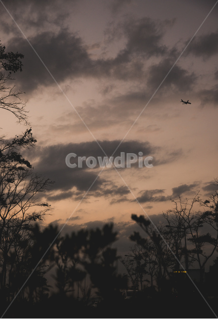 nature,자연,outdoors,옥외,실루엣,silhouette,자연,풍경,nature,landscape