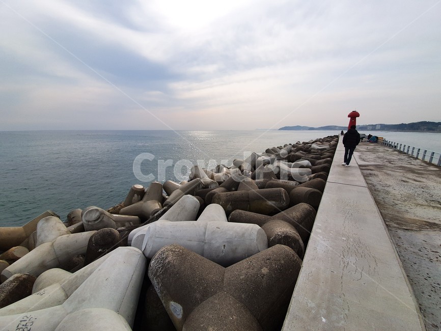 방파제,등대,항구,바다,하늘,물결,자연,대한민국,물,sea,구름,동해,속초,사람,person