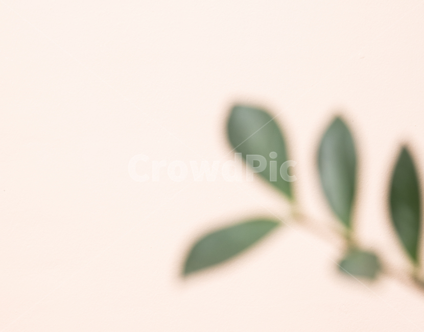 나뭇잎,희미하다,줄기,배경,핑크,그린,초록,푸르다,풀잎,잎사귀,식물,흔들리다,뿌옇다,합성,생각,느낌,아늑하다,행복하다,기분,봄,싱그럽다,섞이다,길다,짧다,조화롭다,밝다,식물,자연,plants,nature
