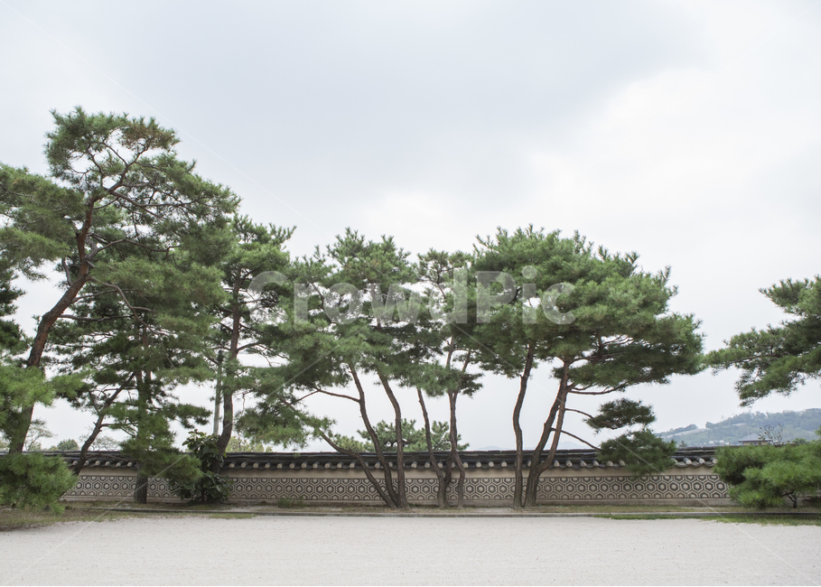 한옥,한옥마을,북촌,북촌한옥마을,한국적인,한국,문화재,토속적인,경주,전주,기와집,전통,조선,고궁