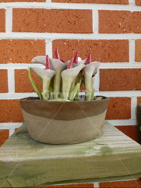 화분,소품,벽돌,장식품,토기,장식용화훼,꽃