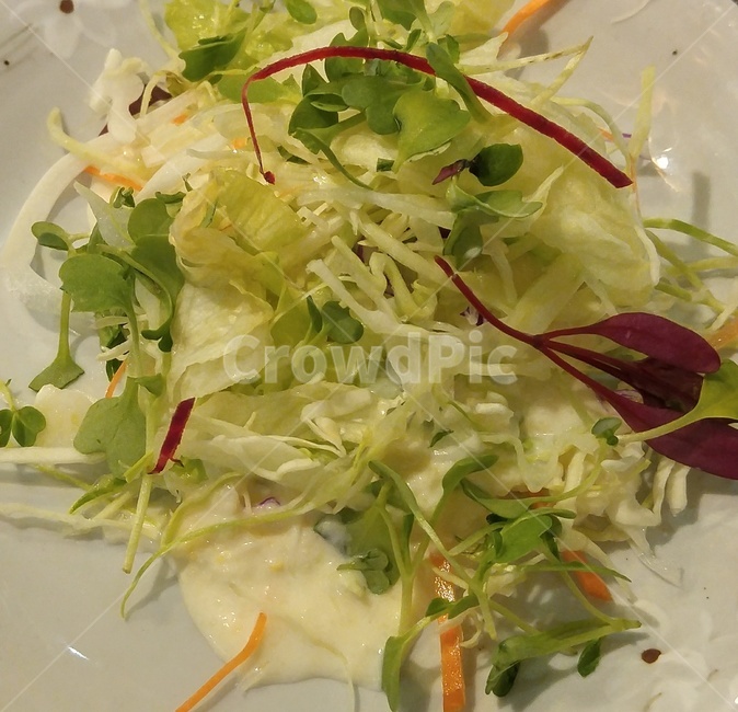 샐러드,야채,사라다,건강,상큼,음식,식재료,요리,food,cook,meal,dishes,food reserves,채소,야채,vegetables