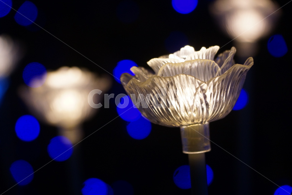 꽃,led,여행,축제,김해,야경,밤,풍경,nightscape,night,landscape,lighting,조명
