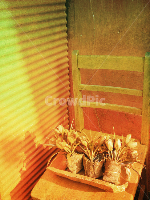 빈티지,감성,장식물,조화,의자,블라인드,색감,나무의자,소품,디스플레이,display,blind,dryflower,decoration,장식,데코레이션,구석,카페,cafe,vintage,shadow그림자,빛,명암,오래된,올드,old,복고풍,레트로,retro,빈티지느낌,빈티지사진,식물,자연,plants,nature,실내용화초,화분,화초,house plant,빈티지사진,빈티지느낌,빈티지감성,vintage,인테리어,실내디자인,interior design