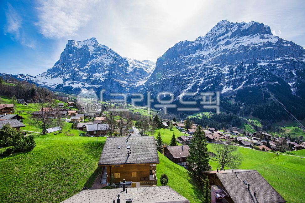 ice cap,forest,green,cliff,nature,ice wall,tree,Switzerland,building,rock wall,spring,Alps,mountain,grass field,outdoors,snow,grass,plant,Grindelwald,village