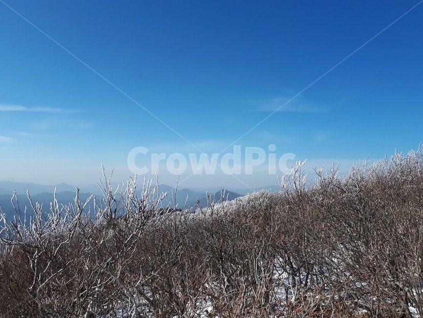 겨울,산,자연,눈꽃,겨울산,얼음꽃,파랑,산꼭대기,정상,겨울,계절,winter,season,자연,풍경,nature,landscape,plant,식물,grass,잔디,outdoors,옥외