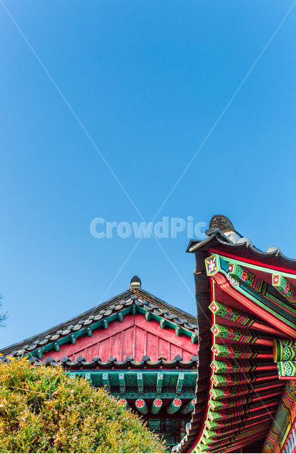 사찰,문양,무늬,선,문화유산,단청,한국전통,한국문화,korean traditional,korean culture,건축물,건물외관,exterior,building,structure,architecture,construction