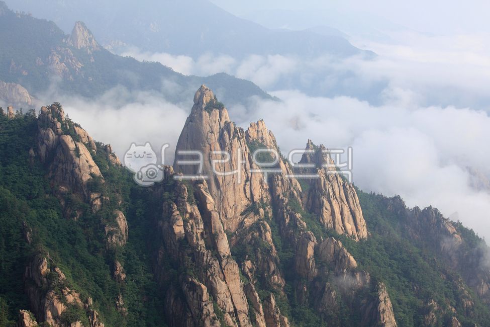 설악산풍경,공룡능선풍경,설악산,범봉,공룡능선,바위,운해,나무,경치,국립공원,강원도,nature,자연,plant,식물,anationalpark,rock,outdoors,옥외,안개,fog,한국자연풍경,산,scenery,landscape,mountain,녹색,절벽,가파른,암릉,암봉,경사