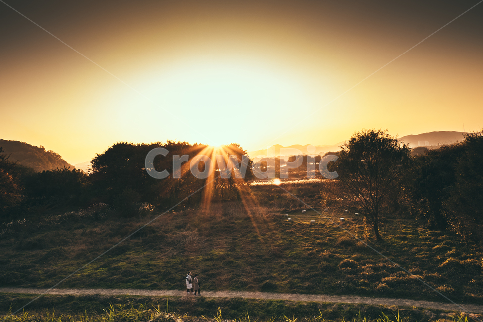 갈대,습지,자연,풍경,가을,노을,일몰,light,빛,flare,플레어,자연,풍경,nature,landscape