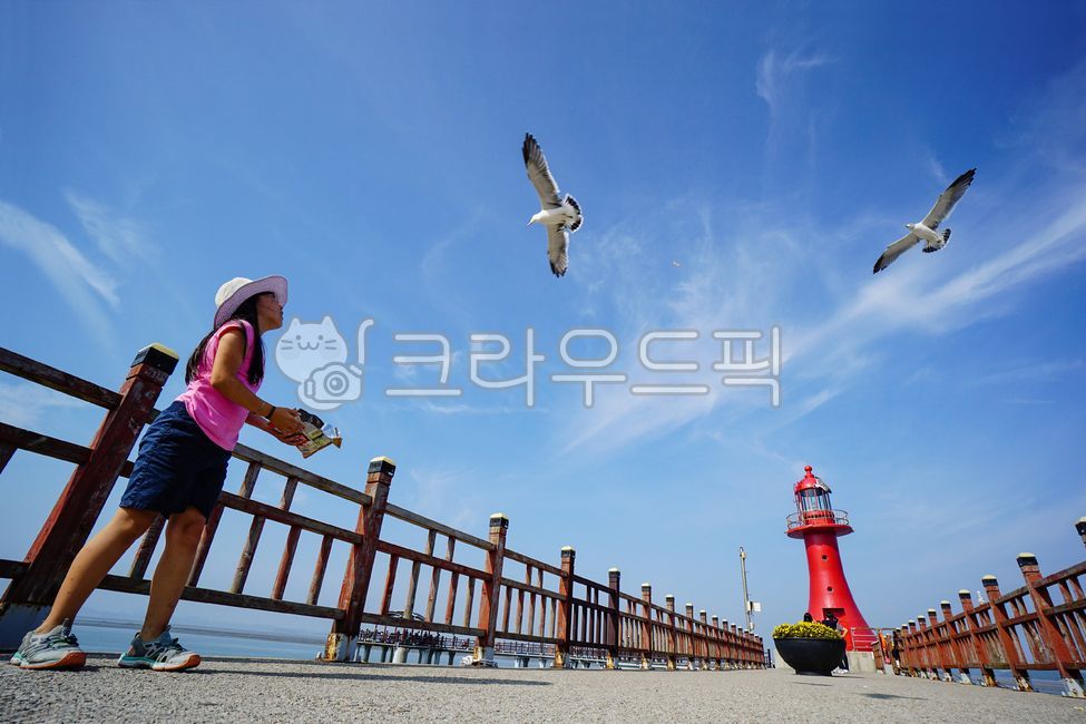 갈매기,등대,동심,먹이주기,제부도,피싱피어,다리,붉은등대,바닷새,산책로,소녀,아이,어린이,초등학생,여자,사람,인간,새,재미,교감,창공,날개,구름,파란하늘,모자,휴가,한국,대한민국,화성시,경기도,여름,바닷가,seagull,gull,girl,child,childish,날다,bird,animal,person,human
