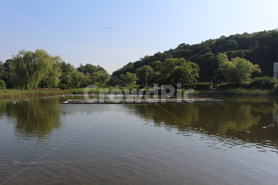 호수,산,강,여름,공원,자연,풍경,nature,landscape,water,물,outdoors,옥외,lake