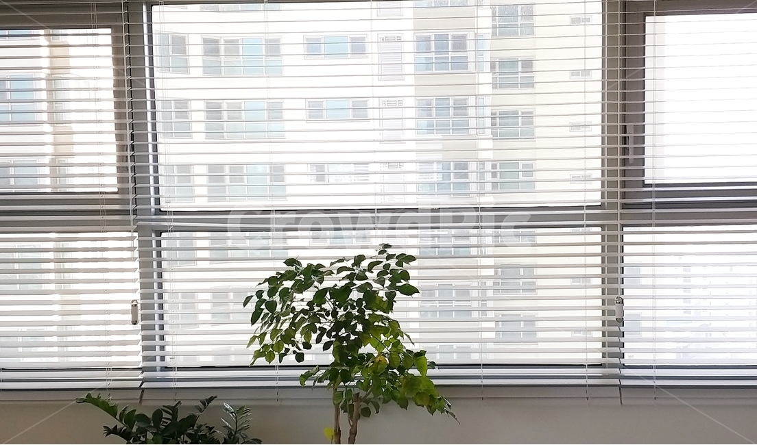 블라인드,인테리어,우드블라인드,homedecor,가정장식,windowshade,창그늘,window,창문