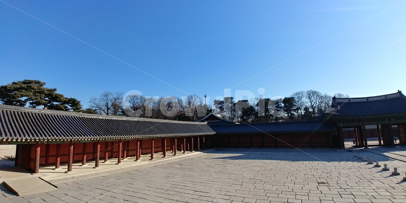 창덕궁,문화재,전통건축,고궁,기와,한국,조선,보물,문화유산,궁,왕,궁궐,한국전통,한국문화,korean traditional,korean culture,랜드마크,landmark,tourist attraction,한국랜드마크,한국관광지,한국명소,korea landmark,korea tourist attraction
