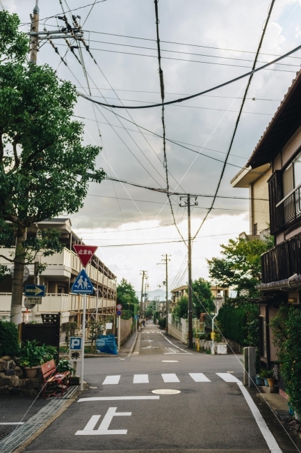 ,Japanese road,Tetsugakunomichi,distance,japan,Kyoto,Kyoto Street,touristspots,trail,Kyoto residential area,crosswalk,Japan travel,street,Path of Philosophy,kyoto,travel destination,Kyoto Road,Japanese residential area,Japanese house,Japanese crosswalk,Ja