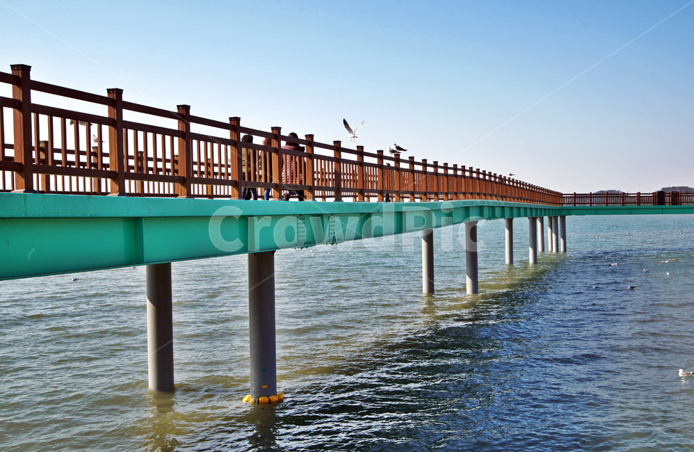 탐방로,궁평항,화성,다리,바다,자연,풍경,nature,landscape,waterfront,워터 프론트,water,물,building,건물,pier,교각,port,포트