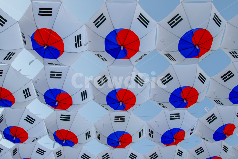 symbol,flag,independencemovement,decorations,Gwanghwamun,independence,Liberation Day,independence movement,red,unity,nationalflag,gwanghwamunsquare,event,memorialday,taegeukgi,decoration,Liberation,sky,independenceday,umbrella,liberation,hooray,unificatio