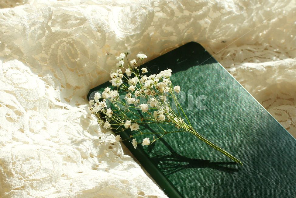 책,일기,일기장,다이어리,메모,기록,diary,안개꽃,꽃,flower,레이스,꽃,flower,감성,sensible,feeling,학용품,문구류,사무용품,school supplies,stationery,office supplies