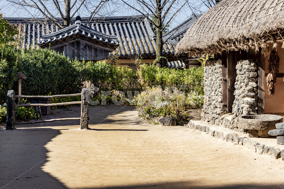 한국민속촌,전통문화테마파크,전통가옥,전통건축물,정원,garden,기와지붕,전통기와,초가집,가을,계절,fall,autumn,season,한국전통,한국문화,korean traditional,korean culture,outdoors,옥외