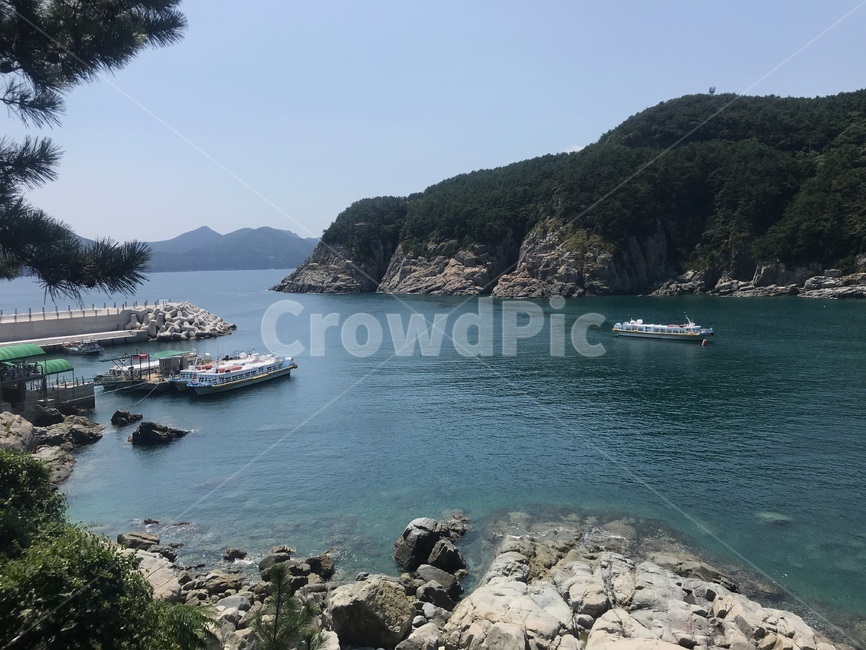 바다,sea,water,물,해안선,여름