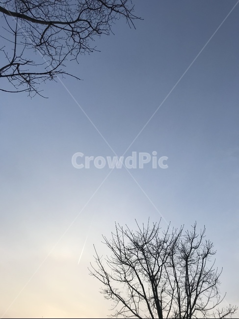 자연,하늘,나무,구름,풍경,힐링,sky,blue,tree