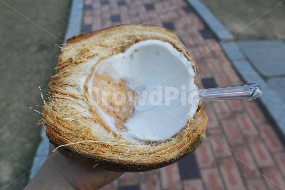 코코넛,베트남,동남아,열대과일,coconut,vietnam,danang,다낭,음식,식재료,요리,food,cook,meal,dishes,food reserves,과일,열매,fruit