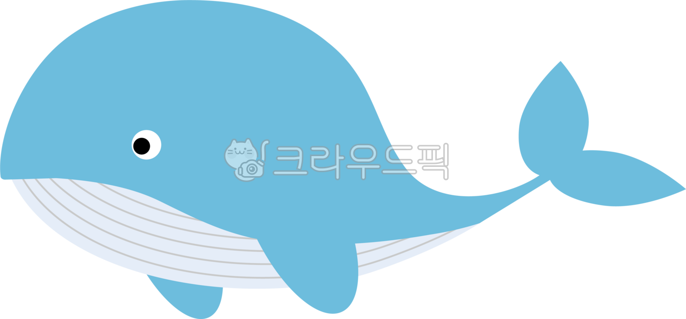 고래,바다,해양생물,푸른고래,바다동물