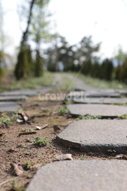 길,자연,돌,flagstone,바닥,walkway,보도,판석,ground,통로,nature