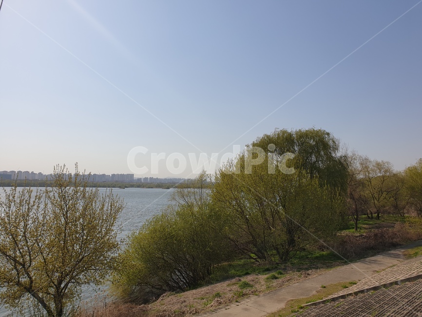한강,강,강가,나무,강나무,하늘,햇볓,주말,감성,봄,가을,맑은,해,sun,river,tree