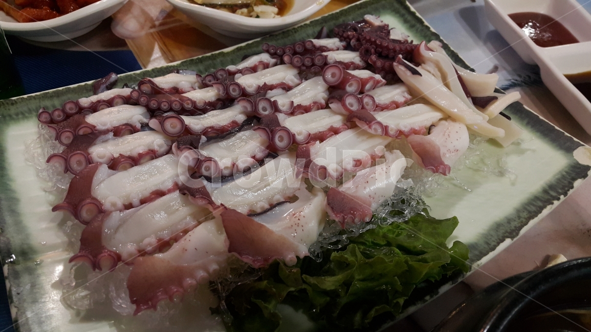 문어,회,숙회,음식,음식사진,food,음식,식재료,요리,food,cook,meal,dishes,food reserves,수산물,해산물,fishery products,seafood