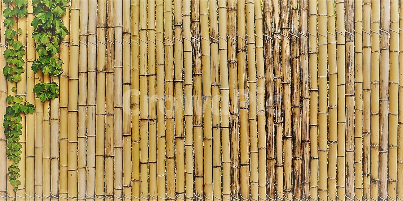대나무,자연,식물,나무,nature,forest,plants,landscape,texture,텍스쳐,pattern,백그라운드,style,배경,질감,패턴,울타리,background,정렬,세로,직선,반복,평행,대나무벽,노란색,식물,자연,plants,nature,나무,trees,wood,텍스처,질감,패턴,texture,pattern