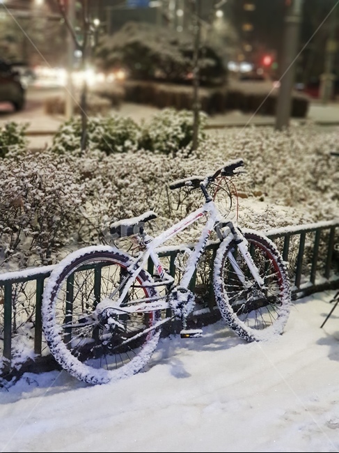 bike,자전거,bicycle,transportation,눈,겨울,snow,바퀴,winter,겨울,계절,winter,season